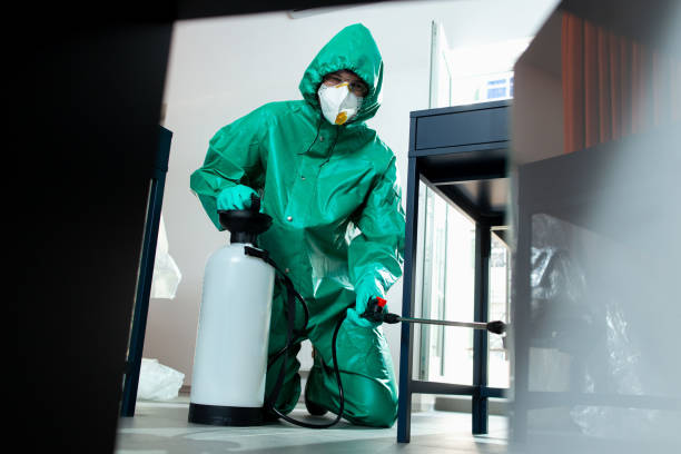 istockphoto 1221490411 612x612